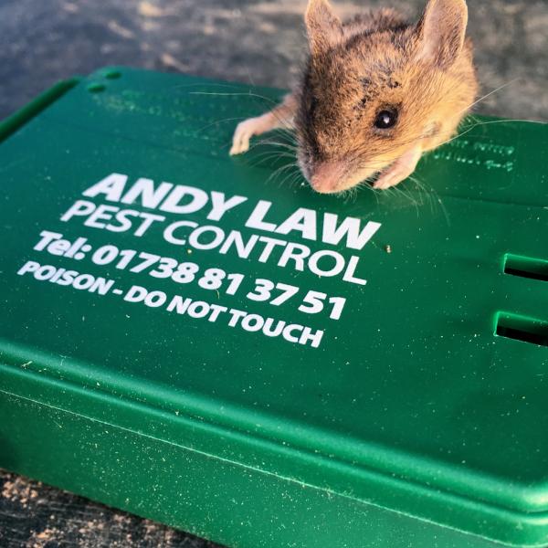 Andy Law Pest Control