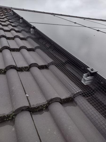 Solar Panel Pigeon Proofing Yorkshire