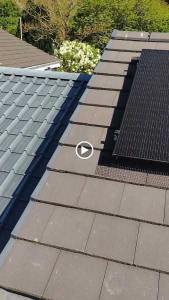 Solar Panel Pigeon Proofing Yorkshire