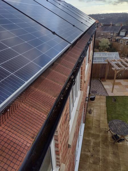 Solar Panel Pigeon Proofing Yorkshire