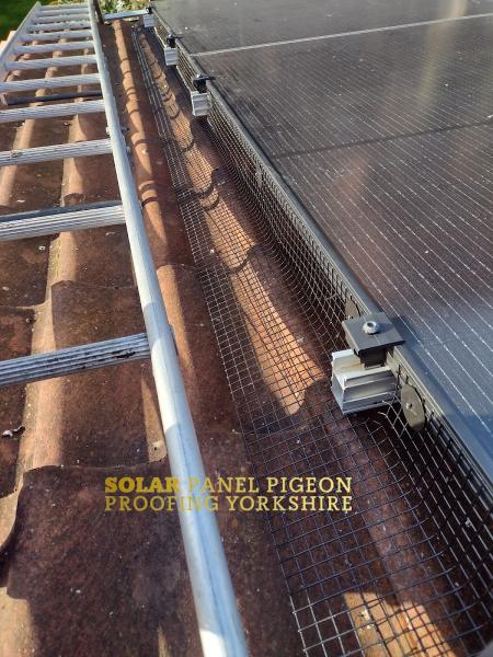 Solar Panel Pigeon Proofing Yorkshire