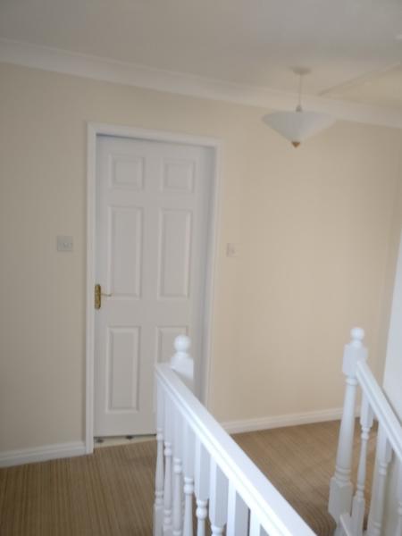 Mark Nicholson Painting & Decorating Services