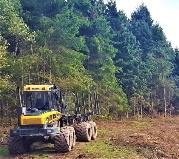 Smerdon Tree Services (Sts) Ltd