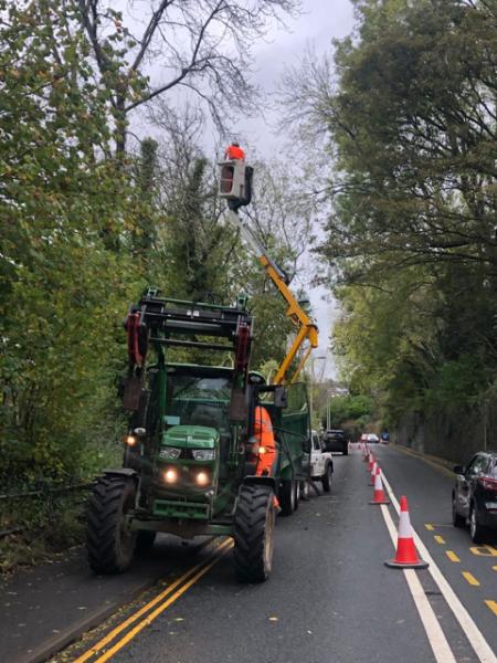 Smerdon Tree Services (Sts) Ltd