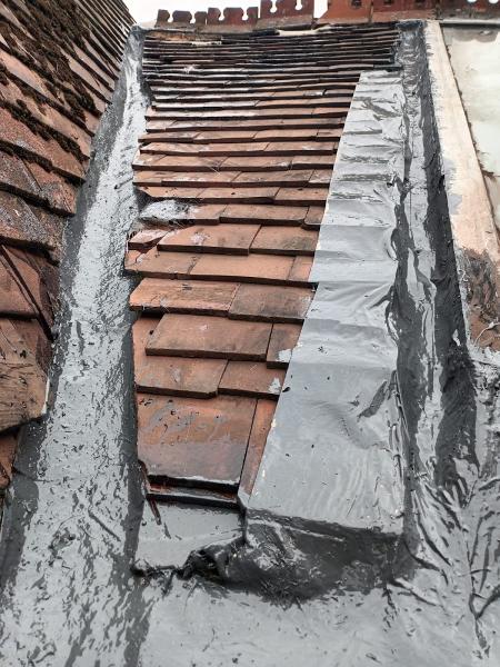 The Leaky Finders (Birmingham's Roof Repair Company)
