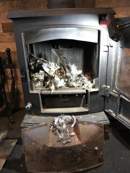 Black Stack Chimney Sweep