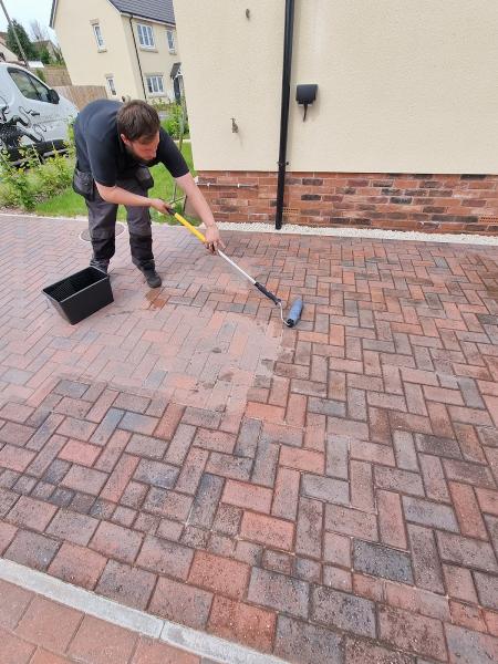 Kraken Cleaning