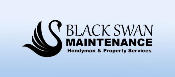 Black Swan Maintenance