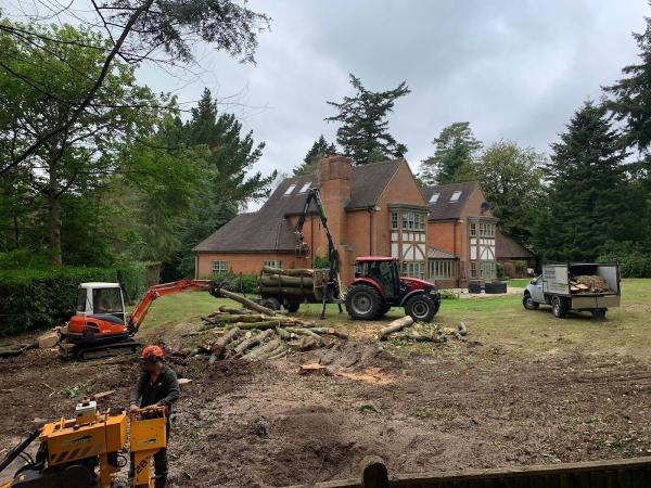 Grayshott Tree Services