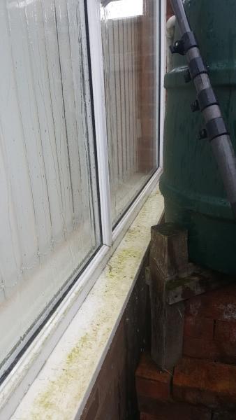 The Window Cleaning Company