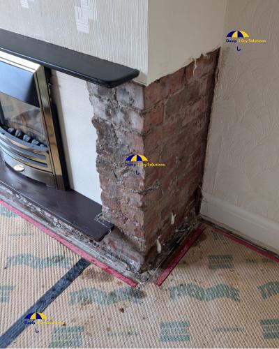 Damp 2 Dry Solutions Ltd