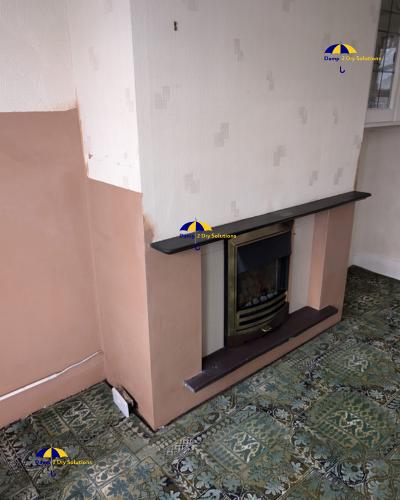 Damp 2 Dry Solutions Ltd