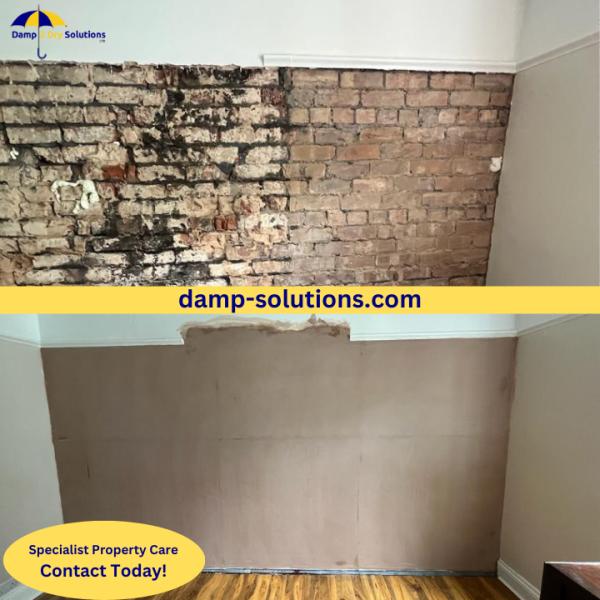 Damp 2 Dry Solutions Ltd