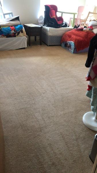 Aquarinse Carpet Cleaning Edinburgh