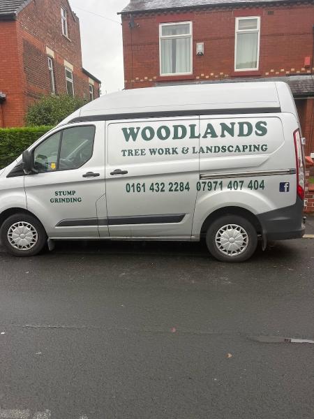 Woodlands Tree Work