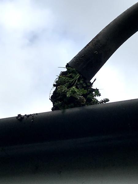 Sunnyside Exterior Cleaning