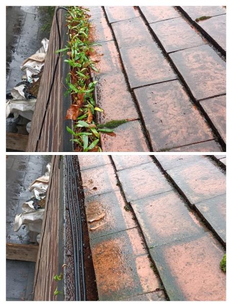Rod's Gutter Cleaning