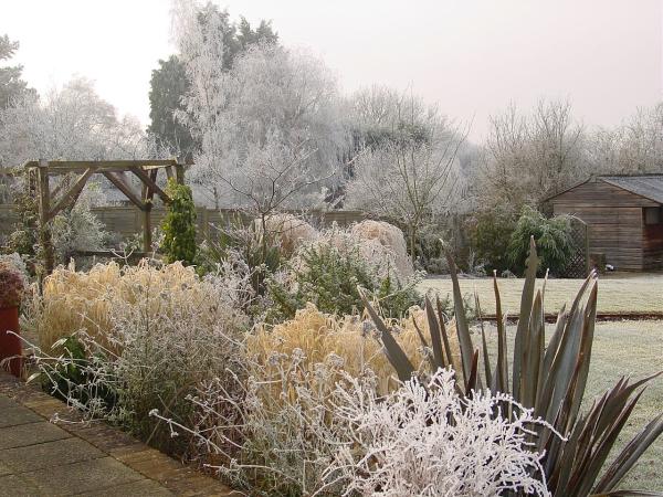 Rooted Garden Services