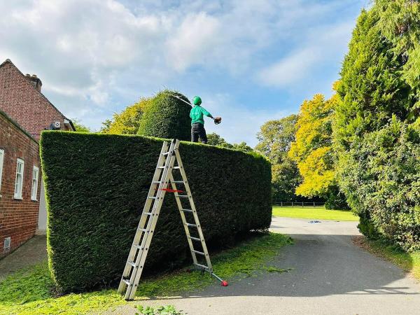 C A Cook Tree Surgery and Fencing