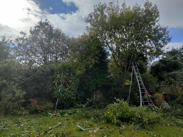 Newcastle Garden Care