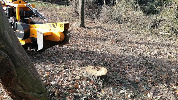 Essex Tree Stump Grinding