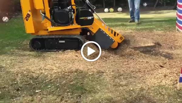 Essex Tree Stump Grinding