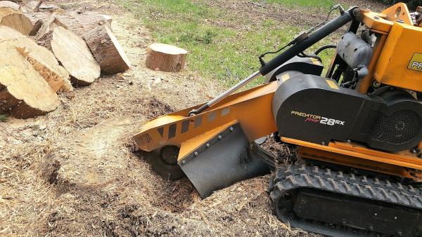 Essex Tree Stump Grinding