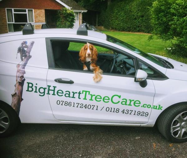 Big Heart Tree Care