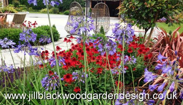 Jill Blackwood Garden Design