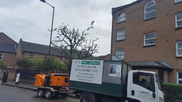 Pat's Tree Surgery