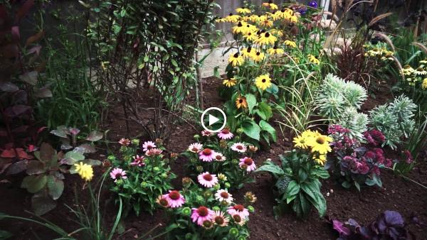 Life In the Garden Ltd