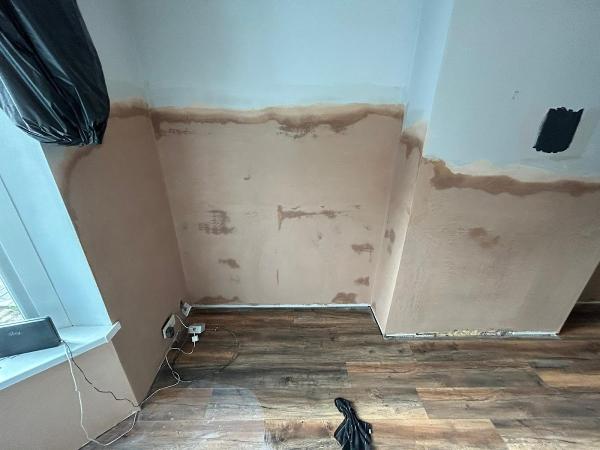 Tyneside Damp Specialists