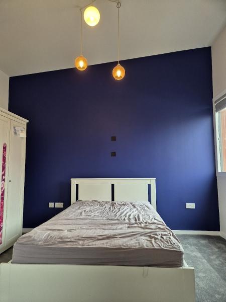 Ben Whitman Professional Decorating Services