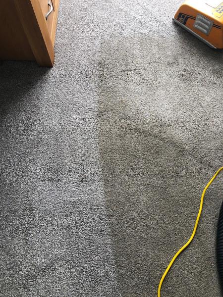 ACE Carpet Cleaning Newcastle Upon Tyne