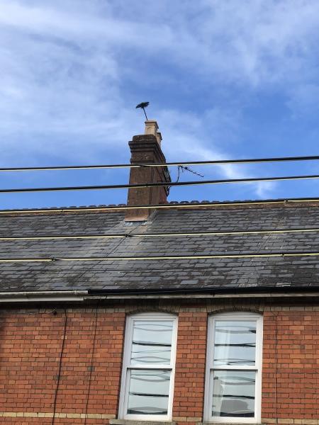 Potts Chimney Sweeping Ltd