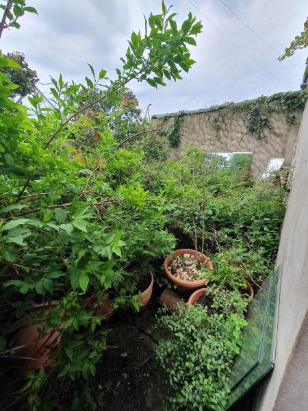 Tiffany Rowe Removals & Waste