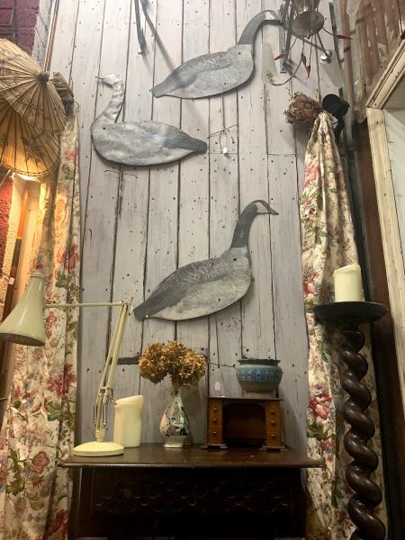 Fishbelly Antiques