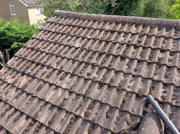 Roof Cleaning Winchester