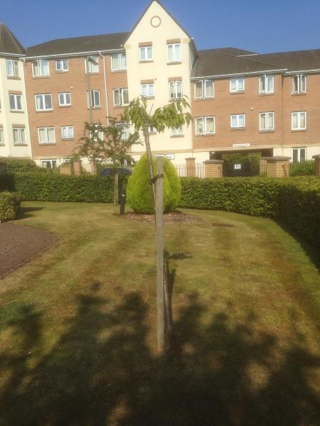 In Touch Property Services Ltd