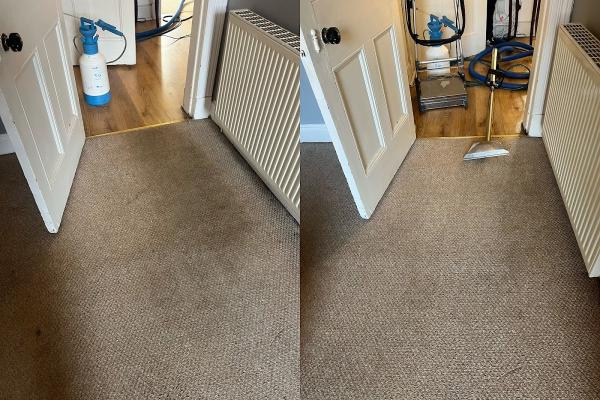 Acorn Carpet Cleaning