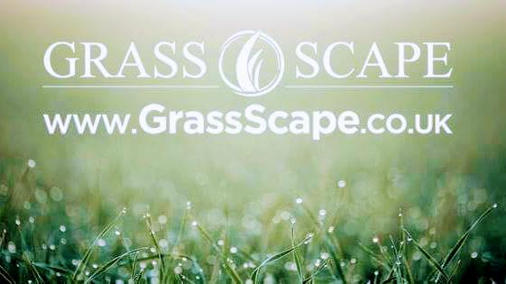 Grass Scape