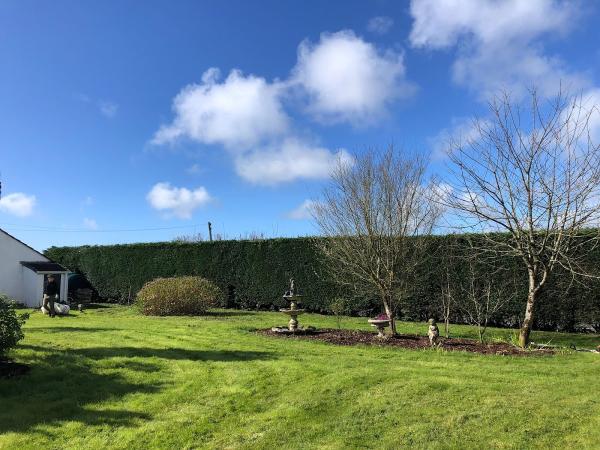 Four Seasons Tree Surgery