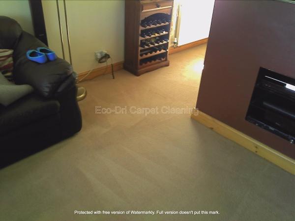 Eco-Dri Carpet Cleaning