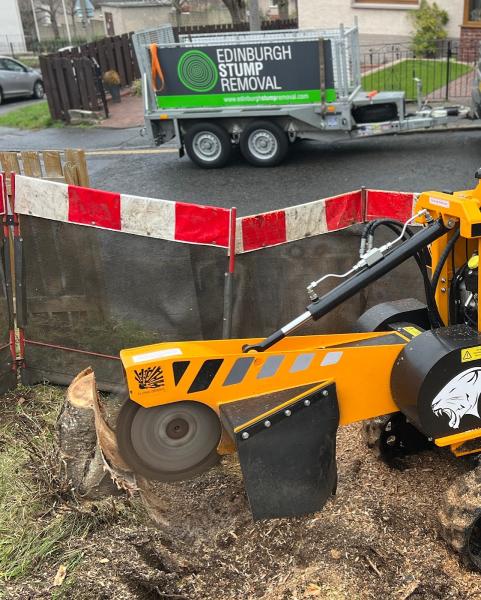 Edinburgh Stump Removal