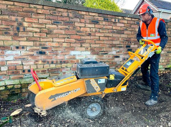 Edinburgh Stump Removal