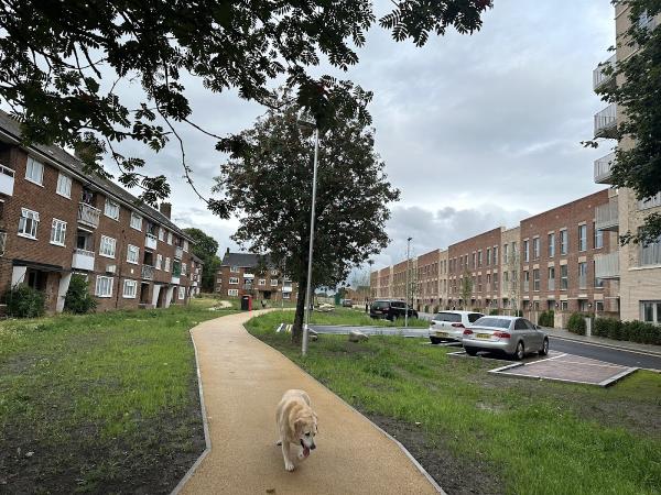 MQF Construction Ltd