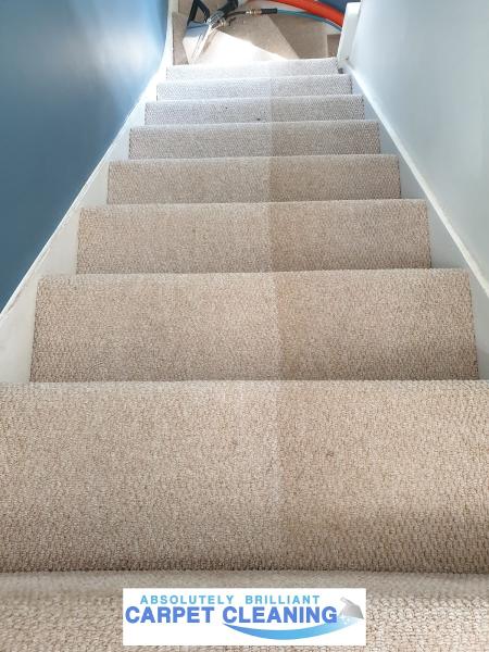 Absolutely Brilliant Carpet Cleaning