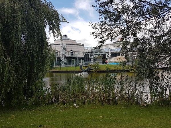 Squeaky Clean Cleaners