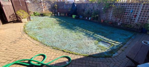 Treat Your Lawns