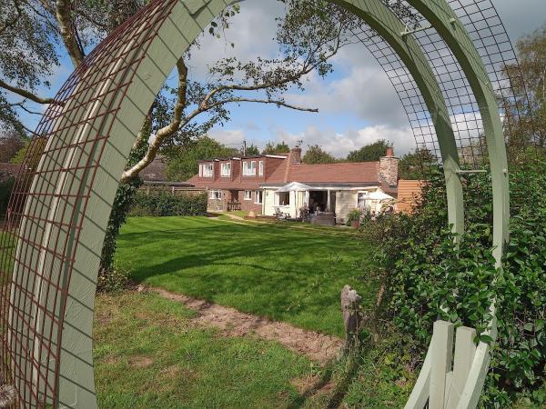 CAT Architectural Services